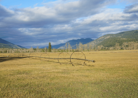 Learn more about Campbell Creek/Deloro