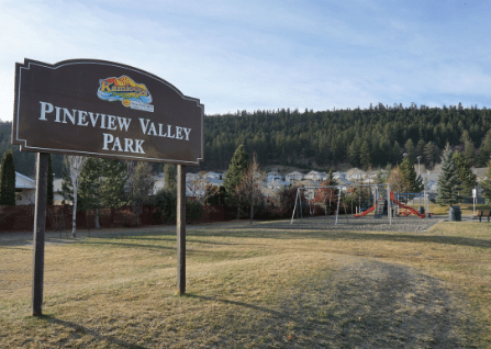 Pineview Valley