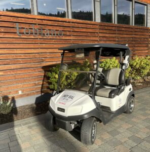 Indy Bal Golf Cart